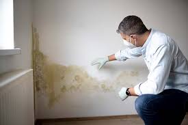 Best Airborne Mold Testing  in Jean Fitte, LA